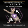 Purina Pro Plan – Healthy Start Pollo – Kitten Sterilizzati - immagine 4